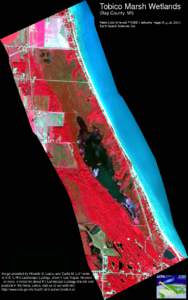 Tobico Marsh Wetlands (Bay County, MI) False-Color infra-red PROBE-1 airborne image (August, 2001) Earth Search Sciences, Inc.  Image provided by Ricardo D. Lopez and Curtis M. Edmonds