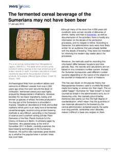 The fermented cereal beverage of the Sumerians may not have been beer