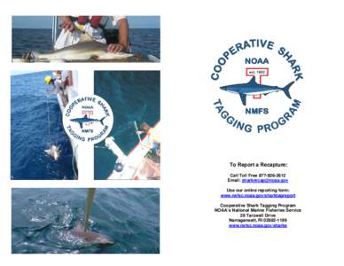 The National Marine Fisheries Service (NMFS) Cooperative Shark Tagging Program (CSTP) is part of continuing research directed to the study of the biology of large Atlantic Sharks