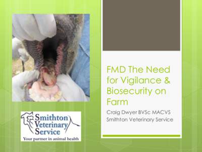 FMD The Need for Vigilance & Biosecurity on Farm Craig Dwyer BVSc MACVS Smithton Veterinary Service