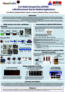 Iron Oxide Nano oparticles (SPION): a Multifunctional Tool for Medical Applications Lionel Maurizi, Usawadee Sakulkhu, Vianney J. P. P Bernau, Géraldine Coullerez, Heinrich Hofmann