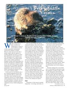 Beavers / Fauna of the United States / Biology / Fauna of Europe / Trapping / North American Beaver / Eastern gray squirrel / Squirrel / Animal trapping / Tree squirrels / Fur trade / Zoology
