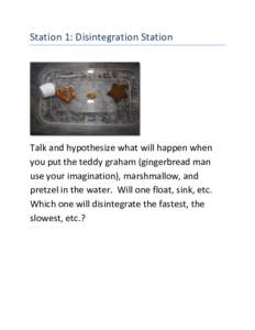 Station 1: Disintegration Station  Talk and hypothesize what will happen when you put the teddy graham (gingerbread man use your imagination), marshmallow, and pretzel in the water. Will one float, sink, etc.