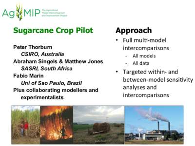 Sugarcane Crop Pilot Peter Thorburn CSIRO, Australia Abraham Singels & Matthew Jones SASRI, South Africa Fabio Marin