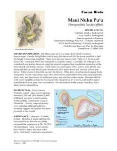 Fringillidae / Hemignathus / Nukupu‘u / Maui Nukupuʻu / ʻAkiapolaʻau / ʻŌʻū / Maui / Endangered species / Conservation biology / Fauna of the United States / Hawaiian honeycreepers / Drepanidinae