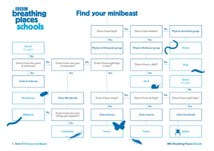 BBC Breathing Places Schools Find your minibeast