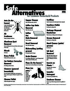 Safe Alternatives for Common Household Products  Ants (in the