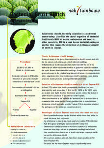 Bacterial Fruit Blotch of (water)melon Acidovorax citrulli, formerly classified as Acidovorax avenae subsp. citrulli is the causal organism of bacterial fruit blotch (BFB) of melon, watermelon and several