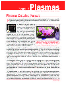 Plasma Display 10-04 :Environment[removed]