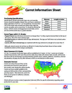 Carrot Information Sheet Purchasing Specifications Specifications should state grade, type, size, and quantity. Carrots should be brightly colored, firm, and have a cylindrical shape, diameters of 3/4” to 1 1/2” are 