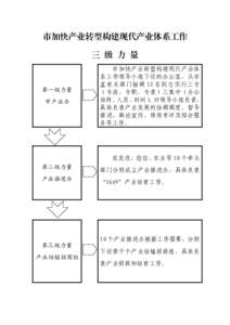 市加快产业转型构建现代产业体系工作 三 级 力 量 第一级力量 市产业办