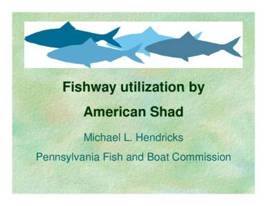 Microsoft PowerPoint - fishway efficiency studies-shad symp08 [Compatibility Mode]