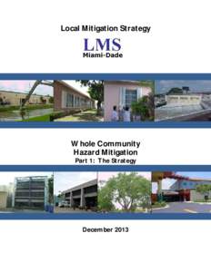 Local Mitigation Strategy  Whole Community Hazard Mitigation Part 1: The Strategy