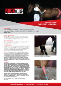 Rocktape Equine Case Study Lantana