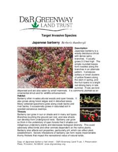 Biology / Shrubs / Berberis thunbergii / Flora of North America / Physocarpus opulifolius / Berberis / Physocarpus / Holly / Diervilla lonicera / Botany / Medicinal plants / Flora of the United States