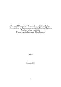 Survey of Omumbiri (Commiphora wildii) and other Commiphora in three conservancies in Kunene Region, North-western Namibia: Puros, Marienfluss and Okondjombo  IRDNC