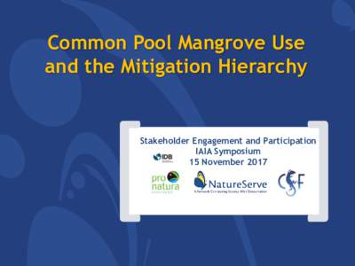 Common Pool Mangrove Use and the Mitigation Hierarchy Stakeholder Engagement and Participation IAIA Symposium 15 November 2017