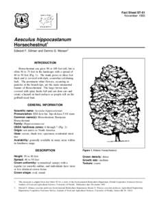 Fact Sheet ST-61 November 1993 Aesculus hippocastanum Horsechestnut1 Edward F. Gilman and Dennis G. Watson2