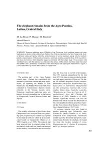 Extinction / Pontine Marshes / Straight-tusked Elephant / Aprilia /  Lazio / Pleistocene / Mammoth / Woolly mammoth / Pleistocene extinctions / Phanerozoic / Geologic time scale