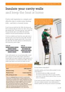 planlocal_EE_advice_leaflet_cavity_wall_insulation_Layout 1