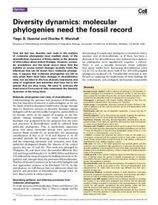 Diversity dynamics: molecular phylogenies need the fossil record