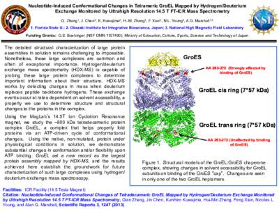 Nucleotide-Induced Conformational Changes in Tetrameric GroEL Mapped by Hydrogen/Deuterium Exchange Monitored by Ultrahigh Resolution 14.5 T FT-ICR Mass Spectrometry