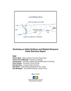 Workshop on Delta Outflows and Related Stressors Panel Summary Report Panel Denise Reed - Water Institute of the Gulf (Panel Chair) James (Tim) Hollibaugh - University of Georgia Josh Korman - University of British Colum