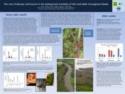 The role of disease and insects in the widespread mortality of thin-leaf alder throughout Alaska Kruse, J., Winton, L., Adams, G., Zogas, K., Swenson, S., and N. Lisuzzo USDA Forest ServiceAirport Way, Fairbanks, 