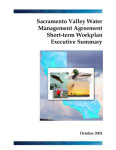 Sacramento Valley Water Management Agreement Short-term Workplan Executive Summary  October 2001