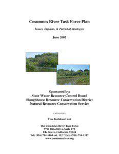 Cosumnes River Task Force Plan Issues, Impacts, & Potential Strategies June 2002