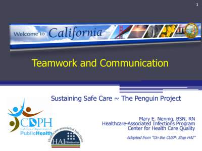 1  Teamwork and Communication Sustaining Safe Care ~ The Penguin Project Mary E. Nennig, BSN, RN