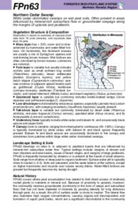 FPn63  FORESTED RICH PEATLAND SYSTEM Northern Floristic Region  Northern Cedar Swamp