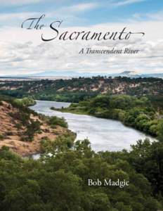 �a��ament�  �� A Transcendent River