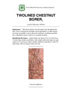 Forest Health Protection, Southern Region  TWOLINED CHESTNUT BORER, Agrilus bilineatus (Weber) Importance. - This borer attacks red and white oaks throughout the