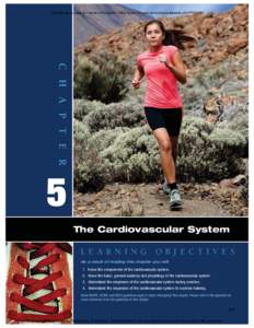 Visit the book page for more information: http://www.hh-pub.com/productdetails.cfm?PC=180  C H A P T E R 5 The Cardiovascular System