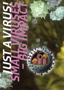 JJUST A VIRUS ! small viruses – big impact This booklet accompanies