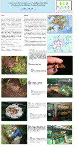 Golden coin turtle / Conservation in Hong Kong / Kadoorie Farm and Botanic Garden / Asian box turtle / Ex-situ conservation / Turtle / Pat Sin Leng Country Park / Hong Kong / Tai Po District / Cuora