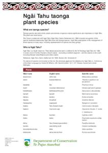 Ngai Tahu taonga plant species: conservation revealed: publications
