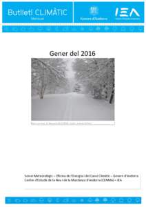 Gener delBosc a Arinsal, la MassanaAutor: Andrea Sinfreu Servei Meteorològic – Oficina de l’Energia i del Canvi Climàtic – Govern d’Andorra Centre d’Estudis de la Neu i de la Muntanya d’