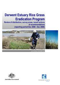 Microsoft Word - DRAFT 2 Rice Grass Report Dec[removed]Derwent estuary.doc