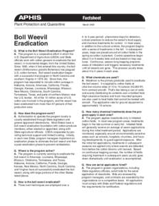 APHIS Plant Protection and Quarantine Boll Weevil Eradication Q. What is the Boll Weevil Eradication Program?
