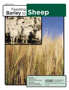 AS1624 (Revised)  Feeding Barley to  Sheep