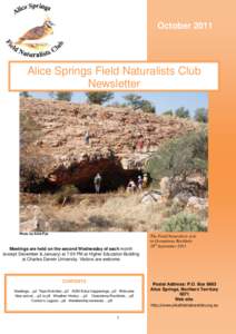 October[removed]Alice Springs Field Naturalists Club Newsletter  Photo by Anne Pye