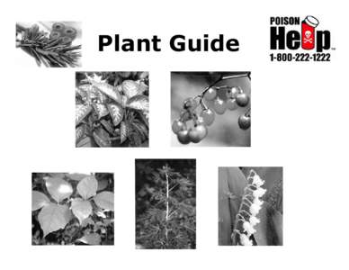 Plant Guide  Treatment Follow these steps if someone is exposed to a poisonous plant MOUTH: