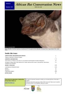 African Bat Conservation News vol 20