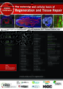 The molecular and cellular basis of  Regeneration and Tissue Repair 17 – 21 September 2016 | Paestum (Salerno), Italy ORGANIZERS