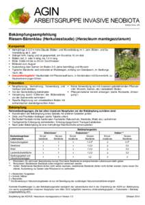 Bekämpfungsempfehlung Riesen-Bärenklau (Herkulesstaude) (Heracleum mantegazzianum) Kurzporträt  Mehrjährige 2−3.5 m hohe Staude: Blätter- und Wurzelbildung im 1. Jahr; Blüten- und Samenbildung ab 2. Jahr  S