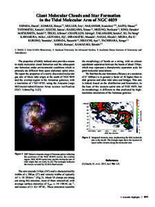 Giant Molecular Clouds and Star Formation in the Tidal Molecular Arm of NGC 4039 ESPADA, Daniel1, KOMUGI, Shinya1/2, MULLER, Eric1, NAKANISHI, Kouichiro1/2/3, SAITO, Masao1/2 TATEMATSU, Kenichi1, IGUCHI, Satoru1, HASEG