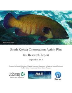 Kydd Pollock photo  South Kohala Conservation Action Plan Roi Research Report September 2013 Prepared for Hawaii’s Division of Aquatic Resources, Department of Land and Natural Resources