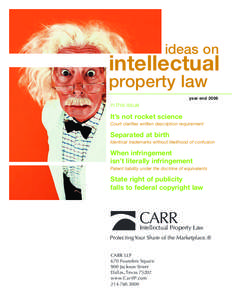 ideas on  intellectual property law  year end 2006